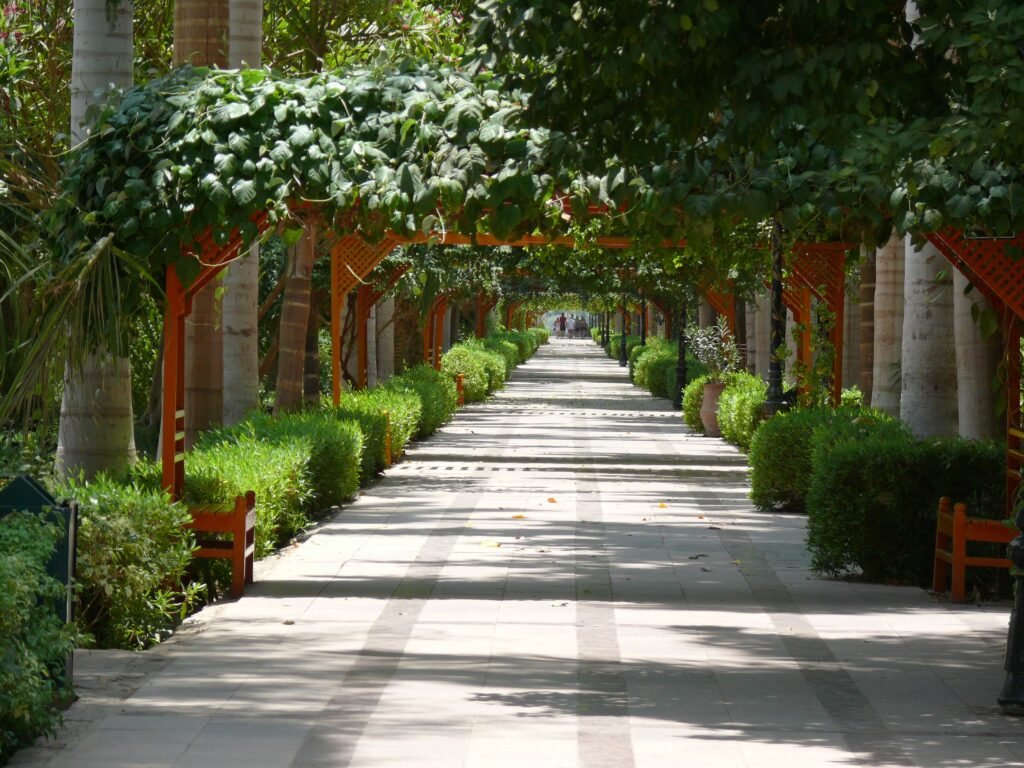 Aswan Botanical Garden