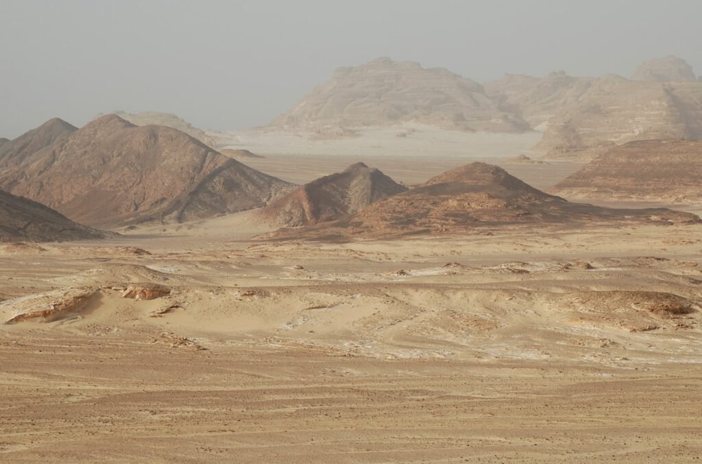 Sinai Desert